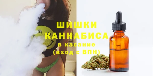 соль ск Алзамай