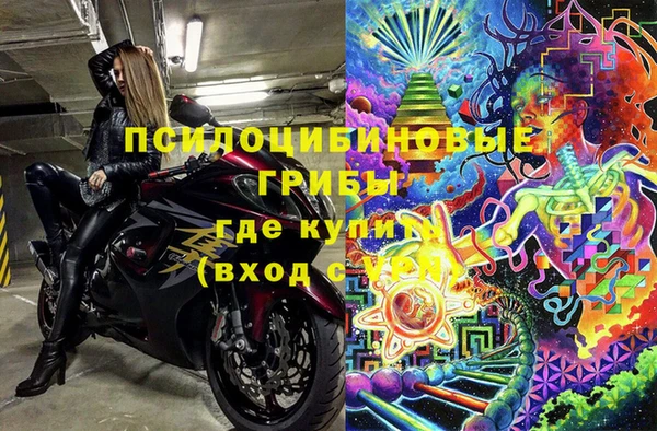 соль ск Алзамай