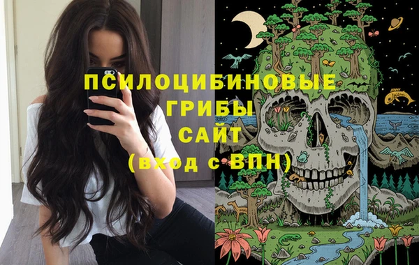 соль ск Алзамай