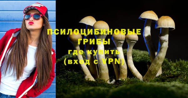 таблы Алексеевка