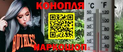 молекула духа Малоярославец