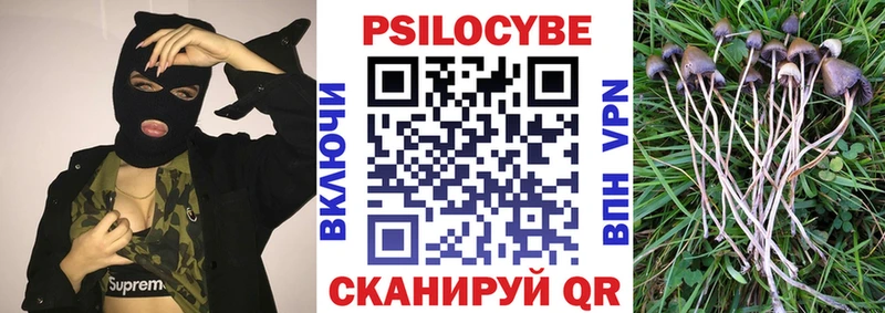 Псилоцибиновые грибы MAGIC MUSHROOMS  нарко площадка клад  Нягань 