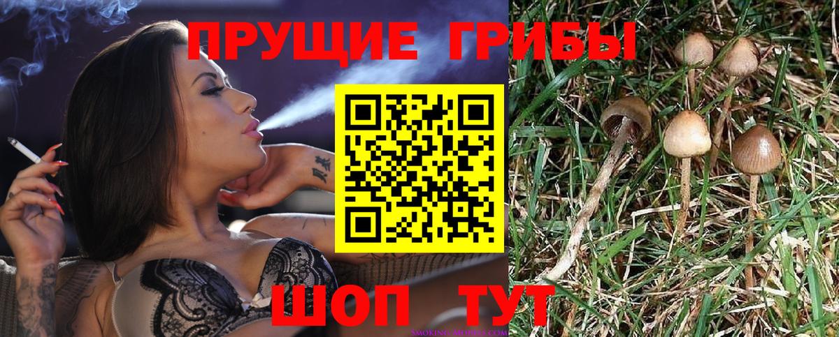 Псилоцибиновые грибы MAGIC MUSHROOMS Нягань