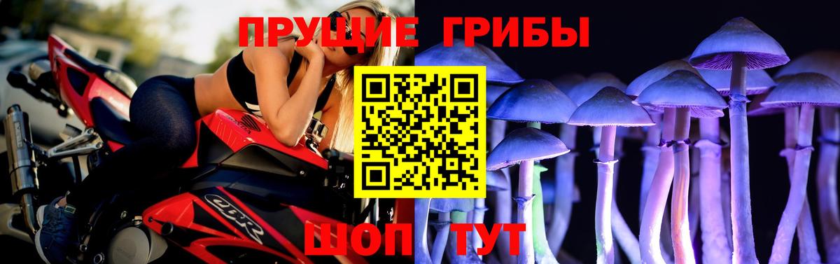 Нягань  Галлюциногенные грибы Psilocybe  Вход с VPN 