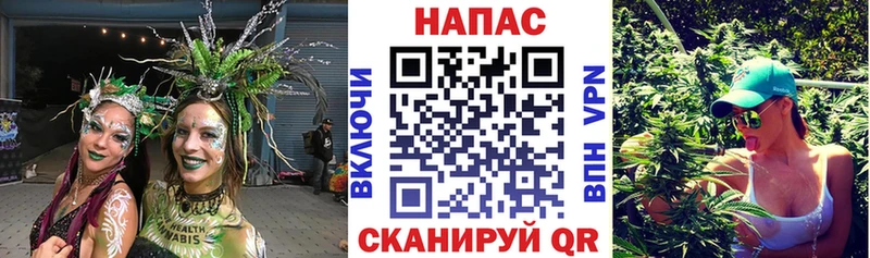 где купить наркотик Нягань Шишки марихуана Ganja